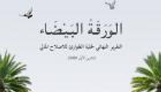 ورقة الكاظمي البيضاء.. هل تنعش خزينة العراق؟