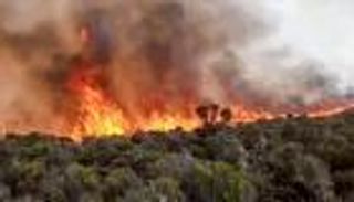 بالصور.. حرائق جبل كلمنجارو مستمرة لليوم الرابع