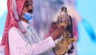 بالصور.. صقر سعودي يحطم الرقم القياسي في مزاد