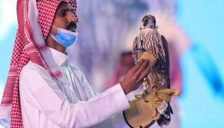 سعودي يستعرض الصقر الذي بيع بسعر قياسي