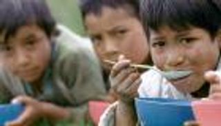 اليوم العالمي للقضاء على الفقر.. ضحايا الجوع الجدد 115 مليونا 