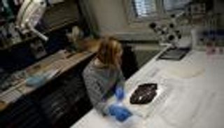 بالصور.. كنوز مطمورة تظهر بعد ذوبان أنهار جبال الألب 