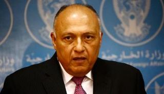 وزير الخارجية المصري سامح شكري- أ.ف.ب