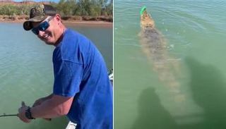 التمساح العملاق تشبث بالطعم