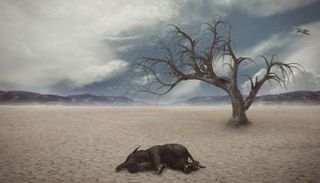 العالم شهد أكبر انقراض جماعي منذ حوالي 252 مليون سنة