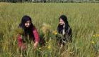 الفلاحات في فلسطين.. كفاح لانتزاع لقمة العيش