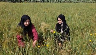 فلاحتان فلسطينيتان