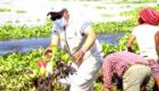 إثيوبيا تطلق حملة لإزالة ورد النيل لحماية موارد بحيرة تانا