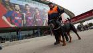 بينها خنازير وضباع.. حيوانات اقتحمت صراع كلاسيكو برشلونة وريال مدريد