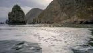 طحالب سامة تهدد بـ"كارثة بيئية" في جزيرة روسية