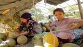 كيف خفف الشمام أعباء كورونا في أوزبكستان؟