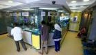 سعر الدولار في السودان اليوم الإثنين 26 أكتوبر 2020