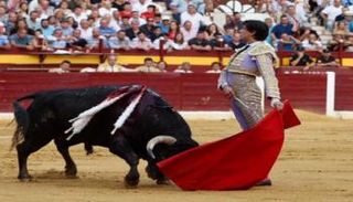 مصارعة الثيران - أرشيفية