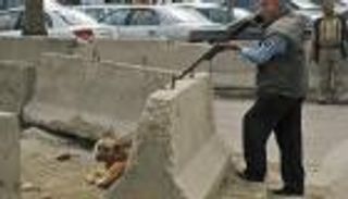 كلاب العراق تطارد البشر.. 20 ضحية يوميا وانهيار الخدمات يعرقل المواجهة