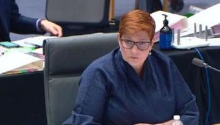 ماريز باين خلال جلسة استجواب بمجلس الشيوخ