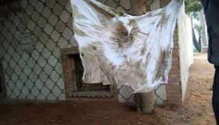 عمل سحري بأحد مقابر مصر - أرشيفية