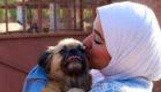 صور.. مصرية تستضيف حيوانات الشارع في منزلها: ورثت حبها