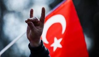 شعار الذئاب الرمادية