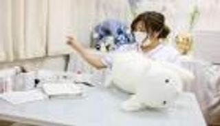 بالصور.. عيادة لمعالجة دمى الحيوانات في طوكيو