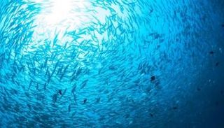 بريطانيا ترفض فتح مياهها للأوربيين