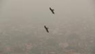 بالصور.. تلوث "حاد" يخنق العاصمة الهندية لليوم الثالث