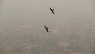 أجواء نيودلهي غارقة في سحابات التلوث