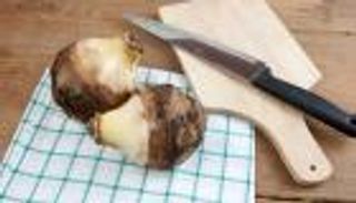 القلقاس.. فوائد صحية مذهلة 