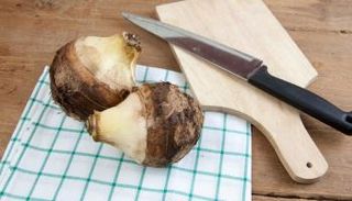   القلقاس.. فوائد صحية مذهلة 