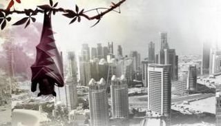 ركود العقارات القطرية