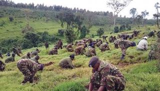جنود كينيون يزرعون أشجارا - أرشيفية
