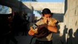 صور.. فلسطيني يربي شبلين في منزله: أحلم بحديقة حيوان