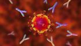 الأجسام المضادة لكورونا تصدم العلماء.. تنخفض بعد هذه المدة