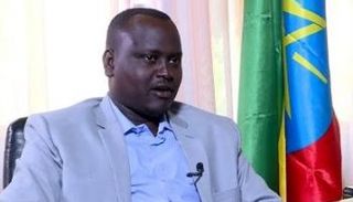 شاذلي حسن، حاكم إقليم بني شنقول جومز 