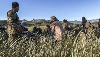 عناصر من إقليم أمهرة المجاور لإقليم تجراي