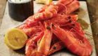 الجمبري.. فوائد صحية متميزة