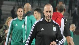 جمال بلماضي مدرب الجزائر