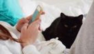 ميوتوك.. تطبيق جديد يترجم اللغة السرية للقطط