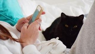 هل سنشهد تطبيقات مماثلة لبقية الحيوانات؟