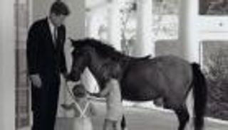 تماسيح وأسود وأغنام في البيت الأبيض