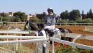 المهر "استقبال آر إم" يتوج بكأس رئيس الإمارات للخيول