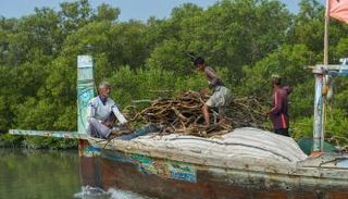 صيادون في كراتشي