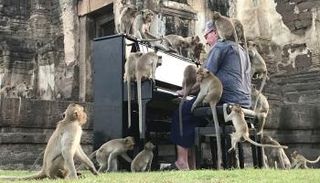 الموسيقي البريطاني بول بارتون