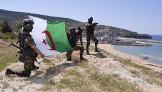 ضباط جزائريون في مناورات عسكرية بحرية وجوية وبرية - أرشيفية