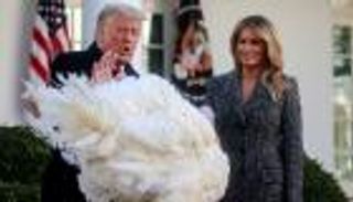 العفو الأخير لترامب.. الديك "كورن" سعيد الحظ 