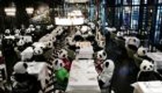 بالصور.. الباندا يحتل مطعما في غياب زبائنه