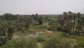 البيئة.. ضحية الحرب الحوثية على عدن