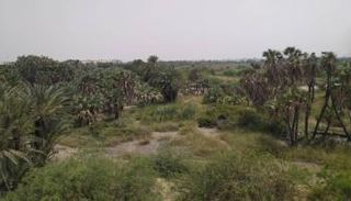 البيئة.. ضحية الحرب الحوثية على عدن