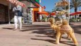 لالتقاط الأنفاس.. تونس تخفف القيود على السائحين