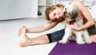 بالصور.. "دوجا يوجا" أحدث صيحات الرياضة بين البشر والحيوانات