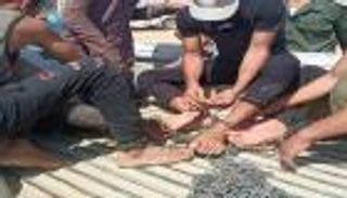 تنكيل وتعذيب.. مليشيا السراج تفاقم أوضاع اللاجئين بطرابلس